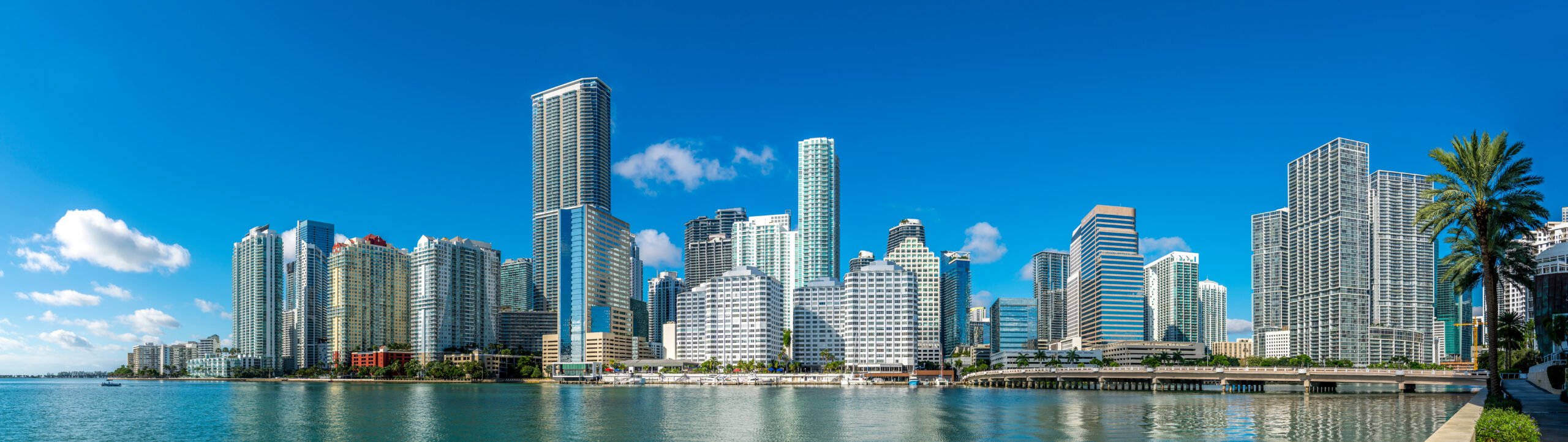 Miami waterfront skyline